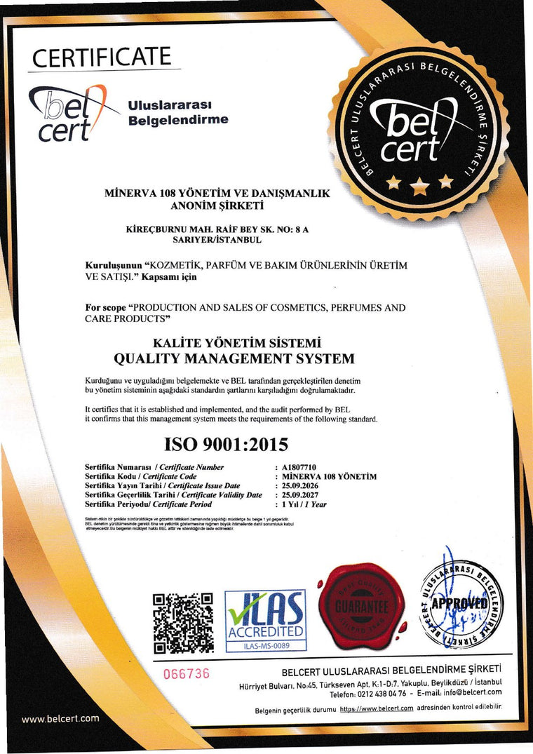 ISO 9001